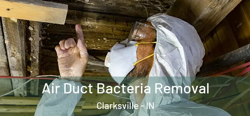  Air Duct Bacteria Removal Clarksville - IN