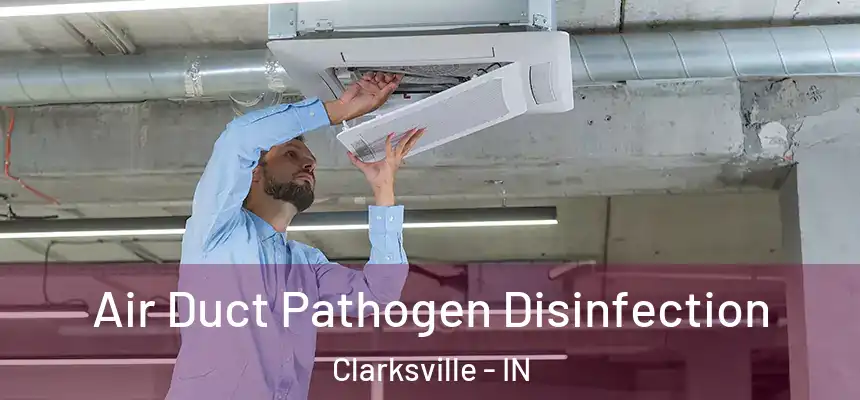  Air Duct Pathogen Disinfection Clarksville - IN