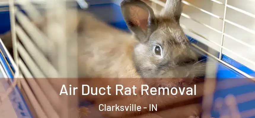 Air Duct Rat Removal Clarksville - IN