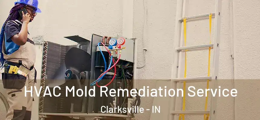  HVAC Mold Remediation Service Clarksville - IN