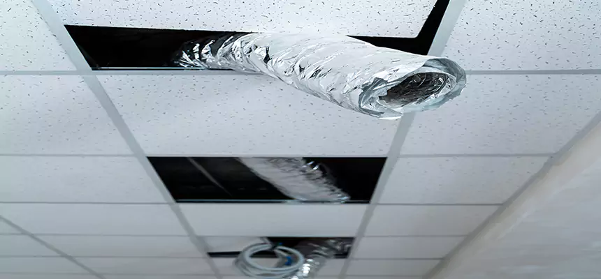 Affordable HVAC Sanitizing After Pest Removal in Clarksville