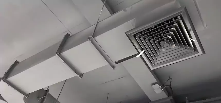 Restorative Allergy Relief Vent Cleaning – Coil, Blower & Housing Detail in Clarksville