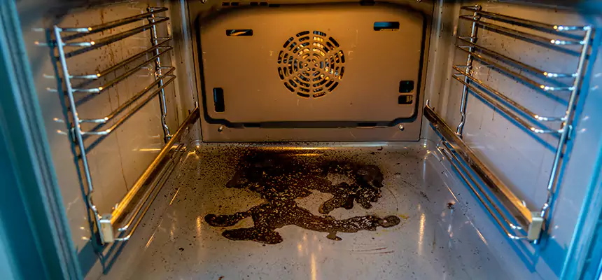 Our Dryer Vent Mold Cleaning Services in Clarksville, IN