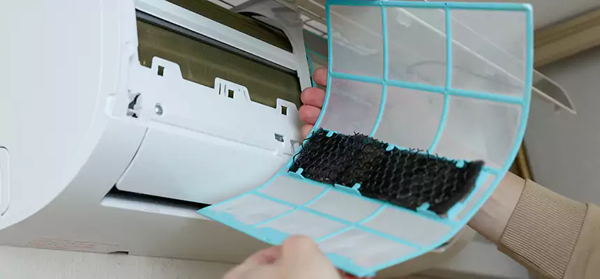 Gentle Ductwork Odor-Control Pet Dander Duct Cleaning in Clarksville, IN