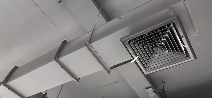 Our Rodent Droppings In Vents Services in Clarksville, IN