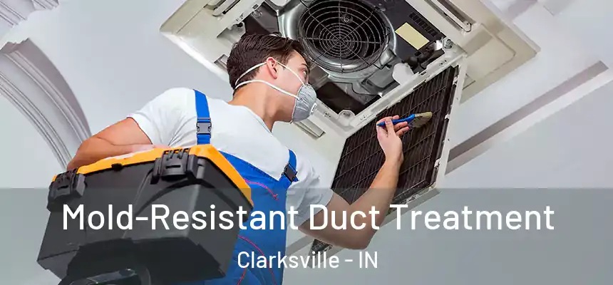  Mold-Resistant Duct Treatment Clarksville - IN