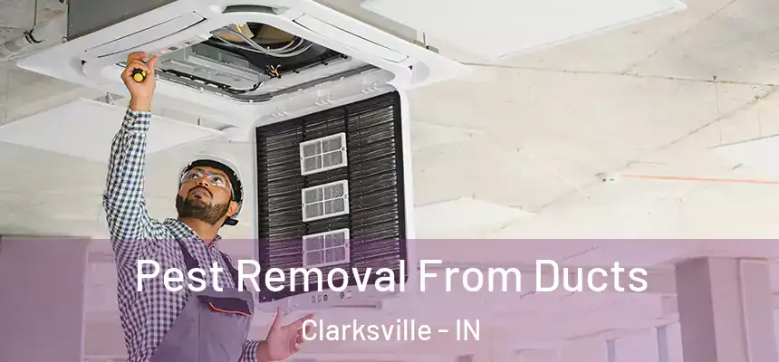  Pest Removal From Ducts Clarksville - IN