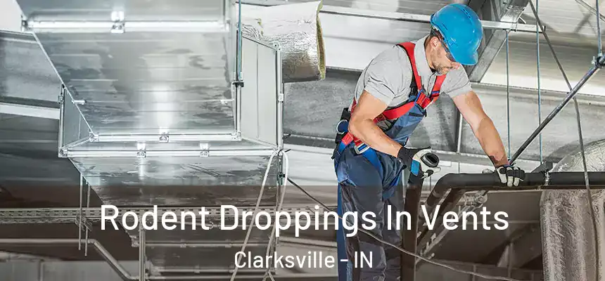 Rodent Droppings In Vents Clarksville - IN