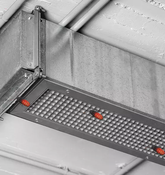 Affordable Insect Removal from Air Ducts in Clarksville, IN
