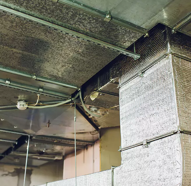 Why Homeowners & Businesses Trust Us in Clarksville, IN?