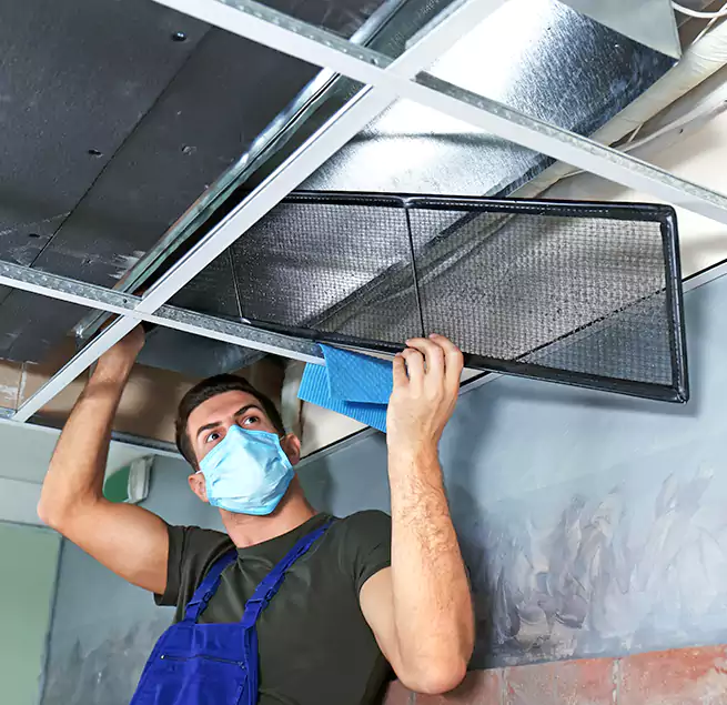 Why Homeowners Businesses Trust Us in Clarksville, IN